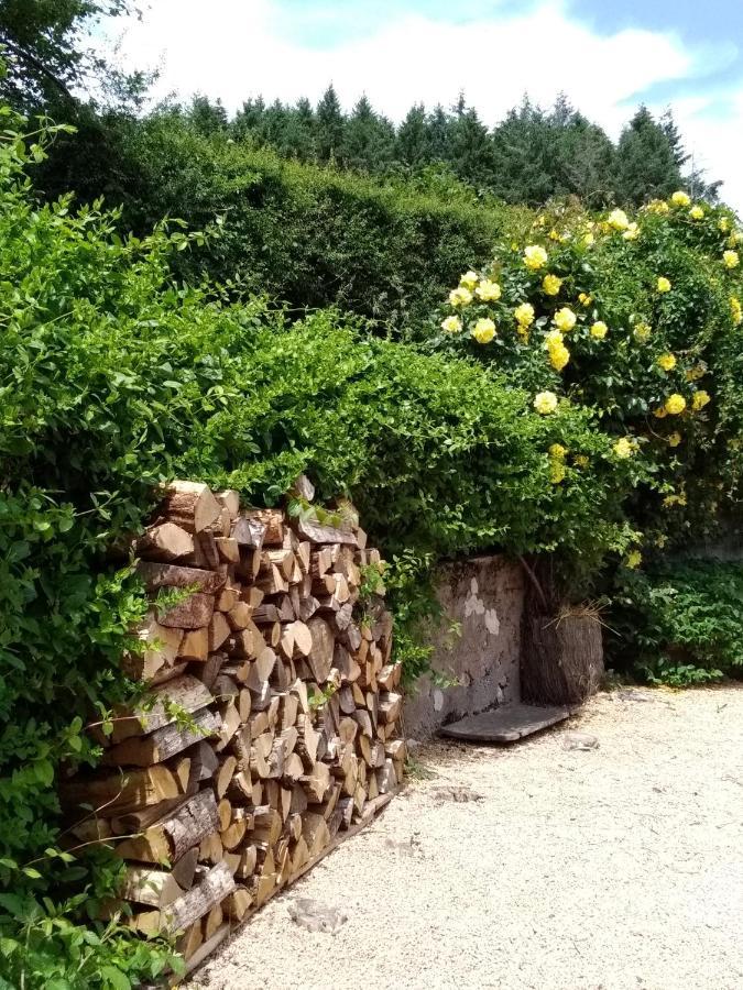 La Maison Du Potager Saint-Racho Dış mekan fotoğraf
