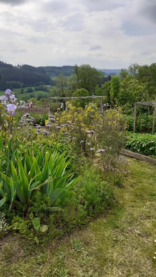 La Maison Du Potager Saint-Racho Dış mekan fotoğraf