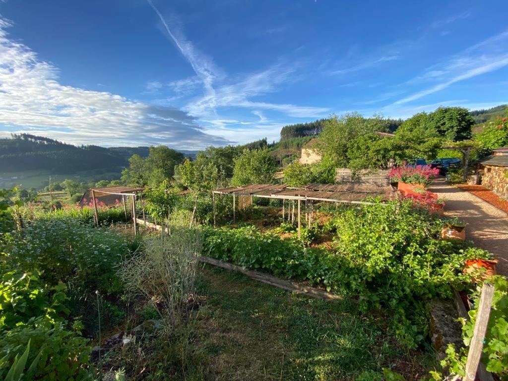 La Maison Du Potager Saint-Racho Dış mekan fotoğraf