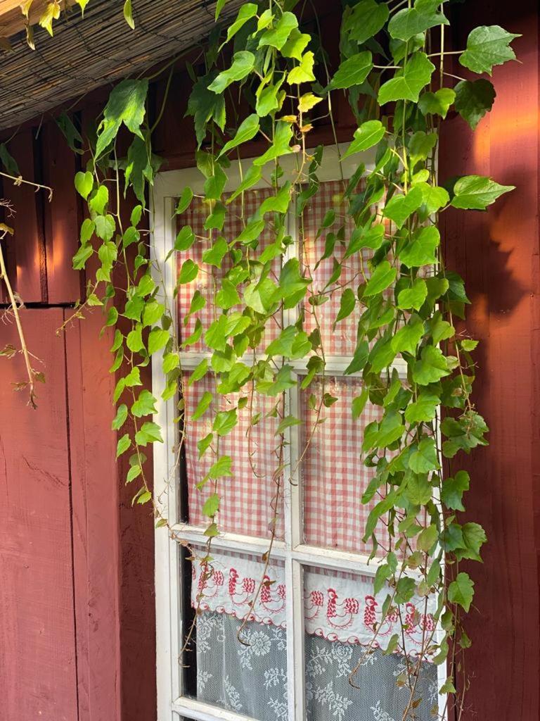 La Maison Du Potager Saint-Racho Dış mekan fotoğraf